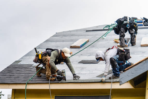 Professional Storm Damage Roof Repair technician working in Madison, KS
